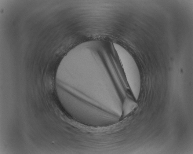 X0000073420039200608251601