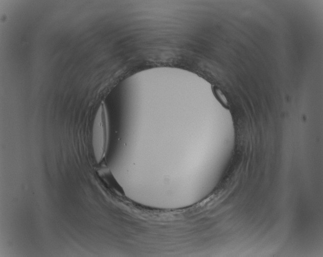 X0000073420040200608251601