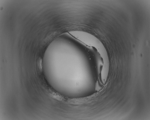 X0000073420041200608251601