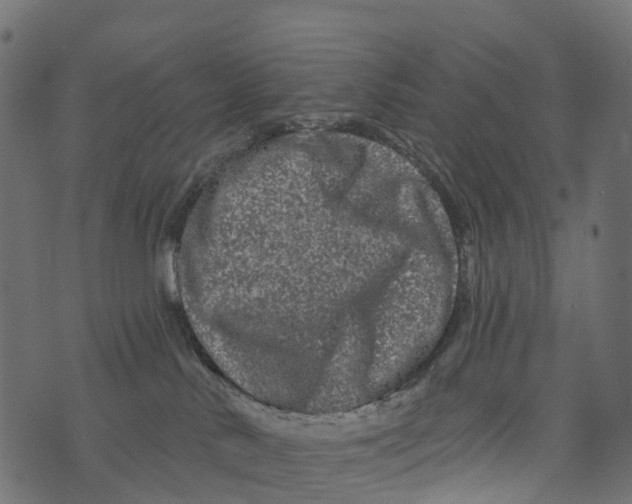 X0000073420042200608251601