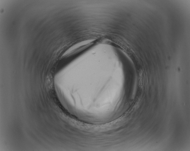 X0000073420043200608251601