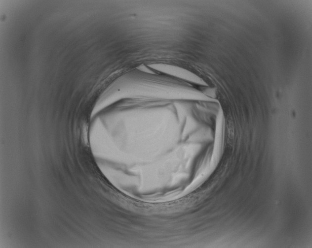 X0000073420046200608251601