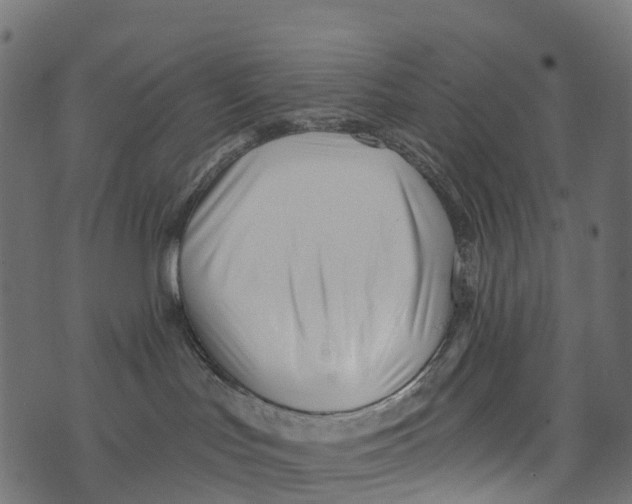 X0000073420047200608251601