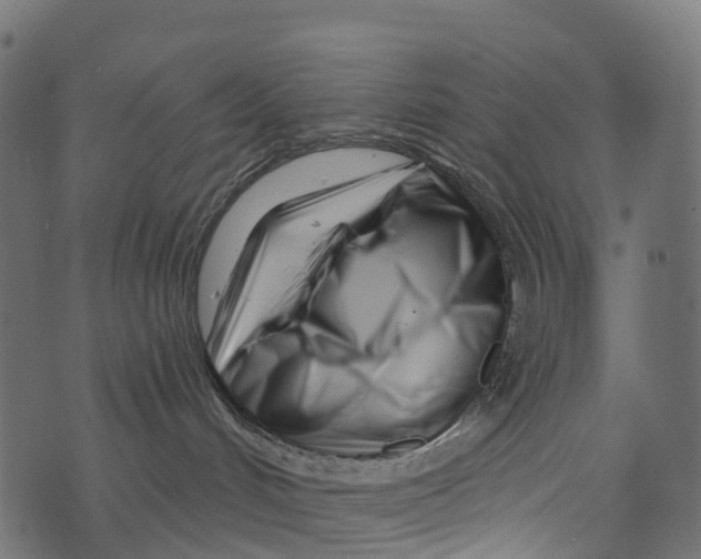 X0000073420048200608251601