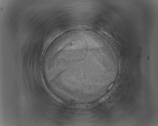 X0000073420049200608251600