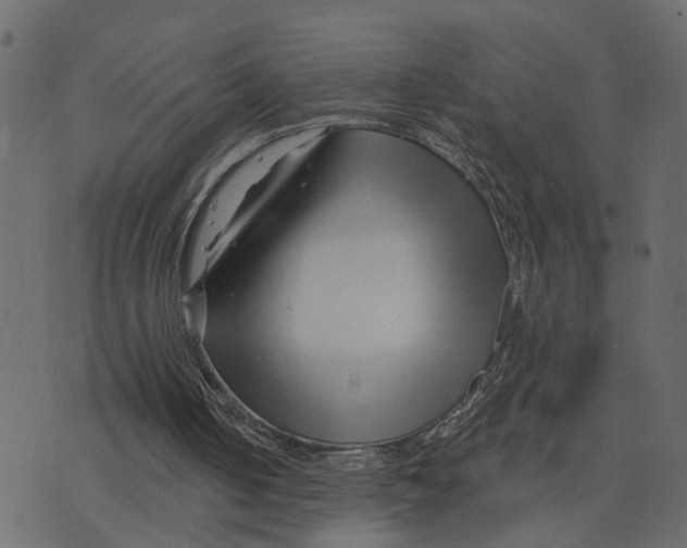 X0000073420050200608251600