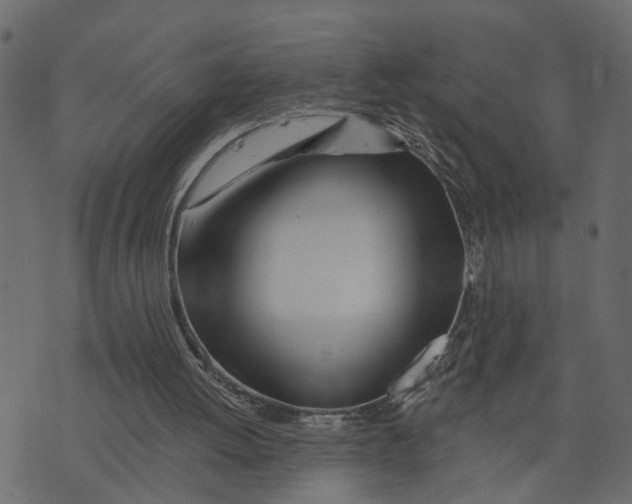 X0000073420052200608251600