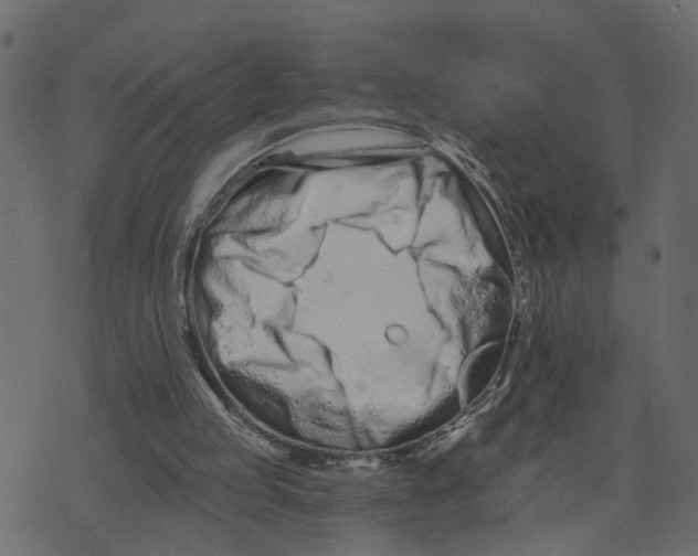 X0000073420053200608251600