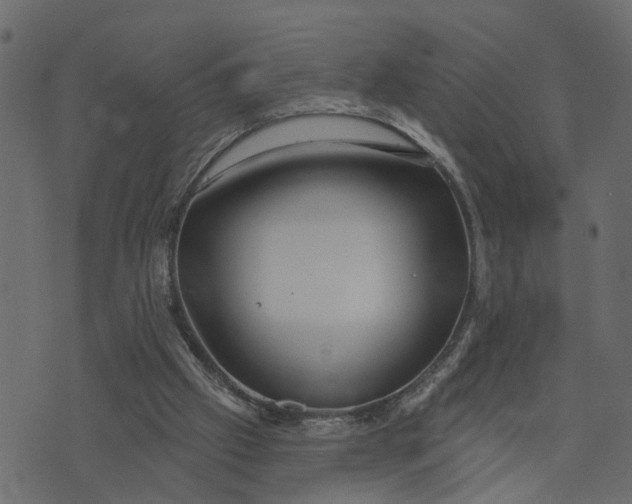 X0000073420057200608251600