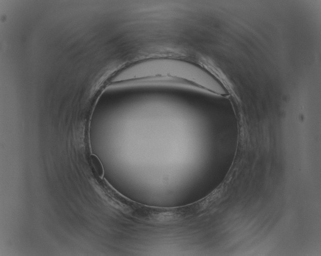 X0000073420058200608251600