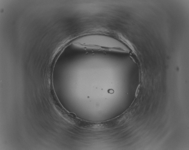 X0000073420059200608251600