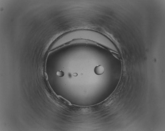 X0000073420060200608251600