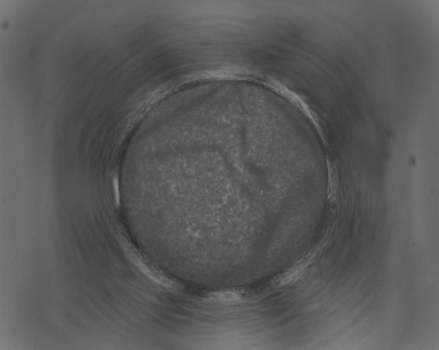 X0000073420061200608251600