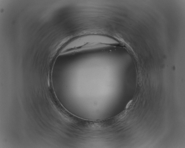 X0000073420062200608251600