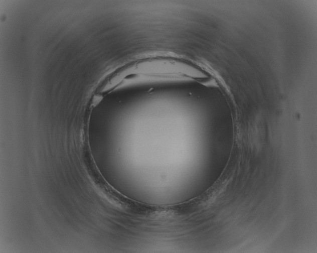 X0000073420063200608251600