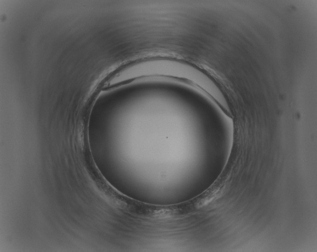 X0000073420064200608251600