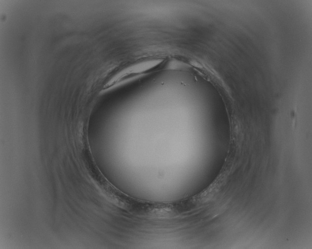 X0000073420066200608251600