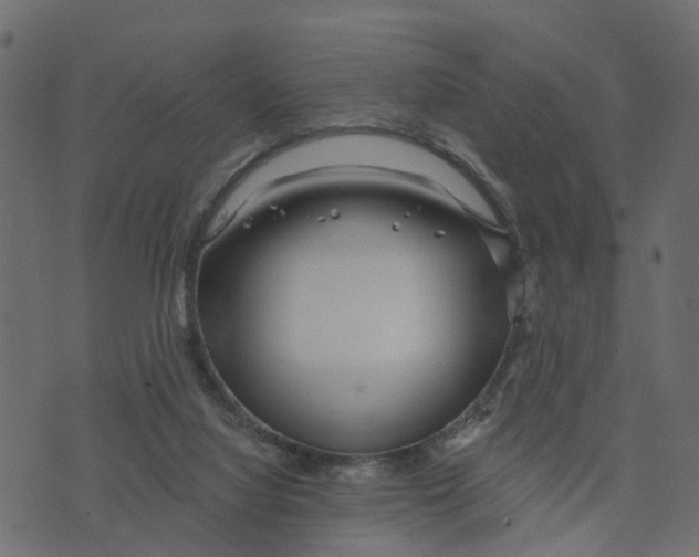 X0000073420068200608251600