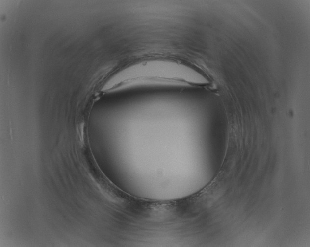 X0000073420070200608251600