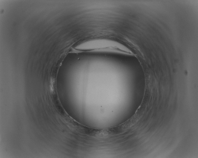 X0000073420075200608251601