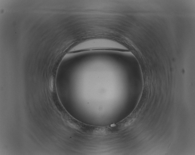 X0000073420076200608251601