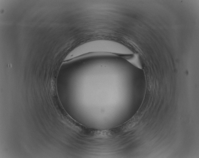 X0000073420077200608251601