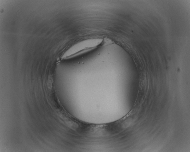 X0000073420078200608251601