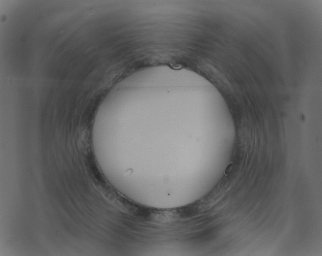 X0000073420079200608251601