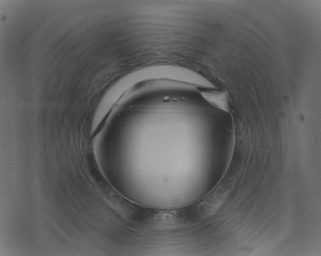 X0000073420080200608251601