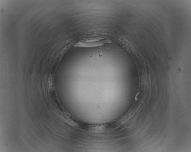 X0000073420081200608251601