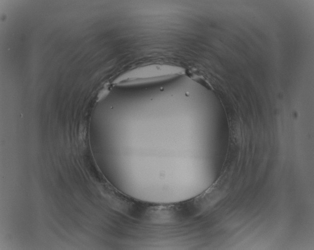 X0000073420082200608251601