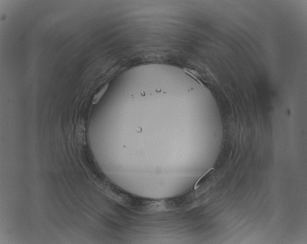 X0000073420083200608251601