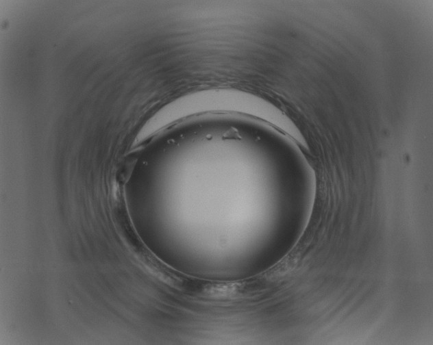 X0000073420084200608251601