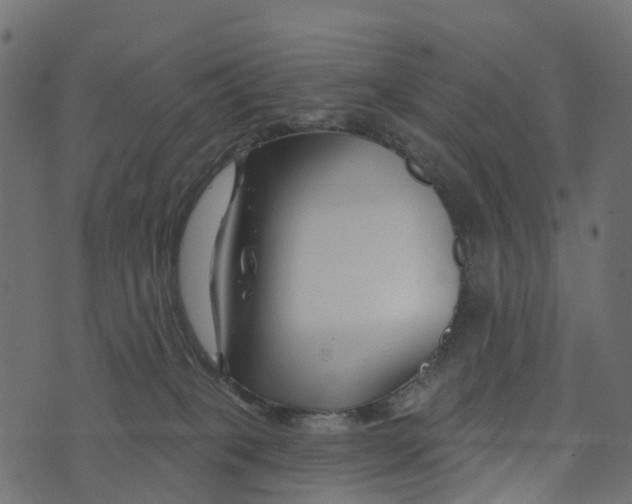 X0000073420085200608251601