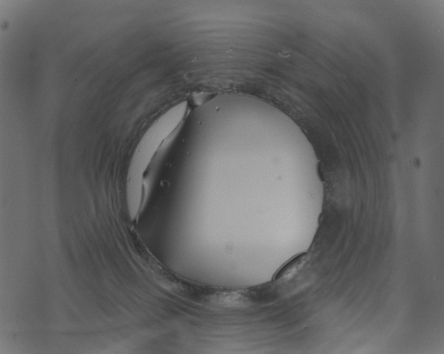 X0000073420086200608251601