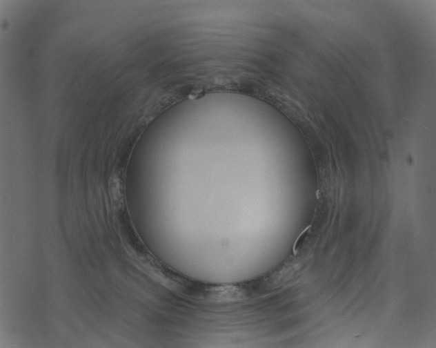 X0000073420087200608251601