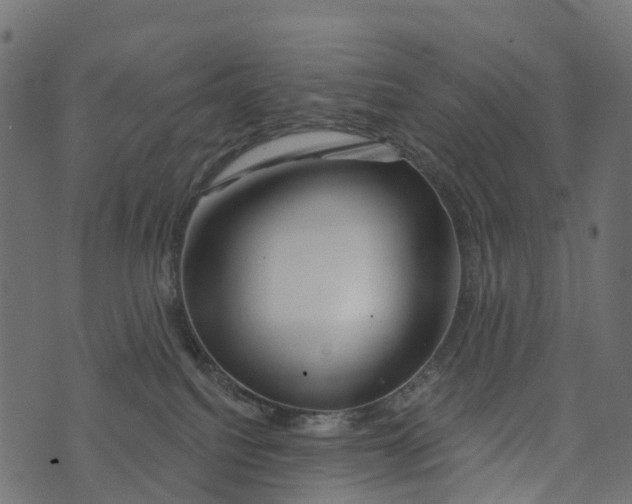 X0000073420088200608251601