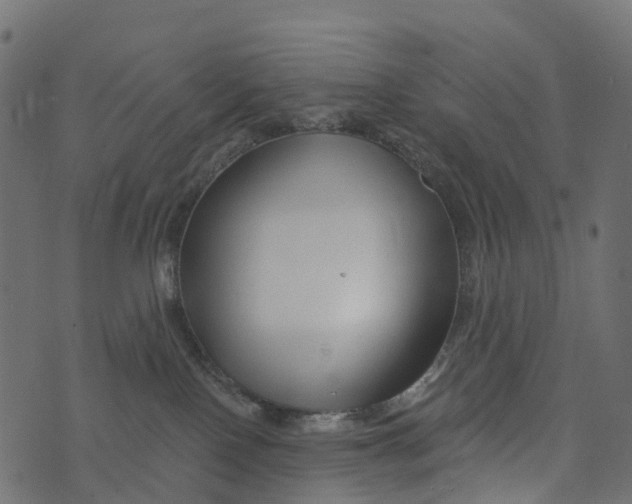 X0000073420090200608251601