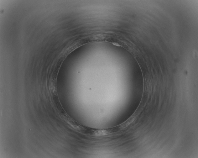 X0000073420091200608251601