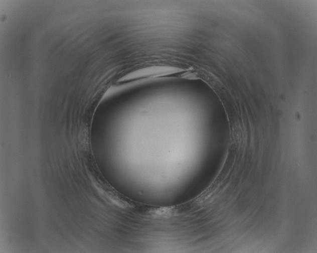 X0000073420092200608251601