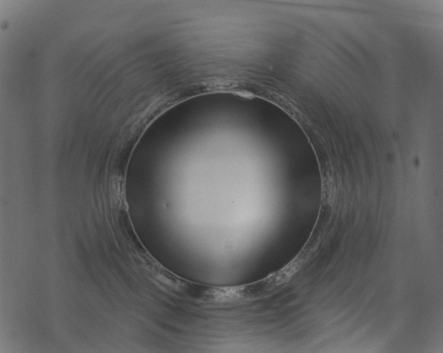 X0000073420093200608251601