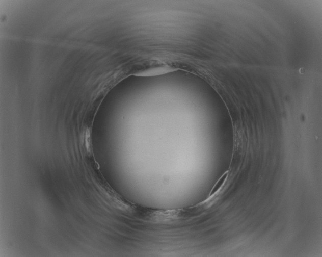 X0000073420094200608251601