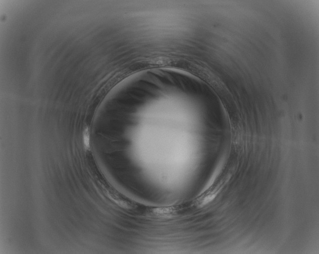 X0000073420095200608251601