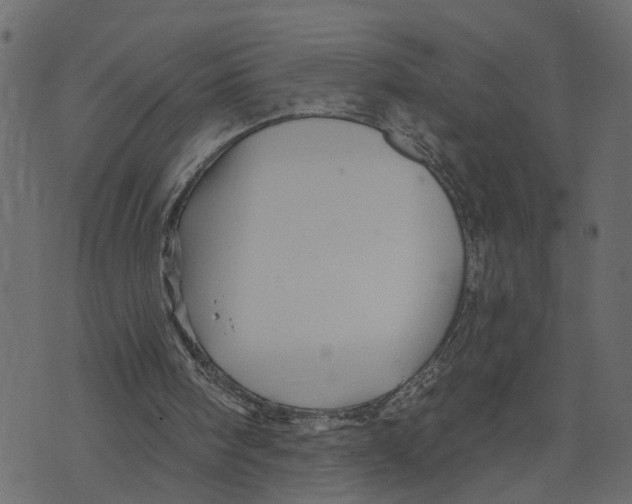 X0000073420098200608251600