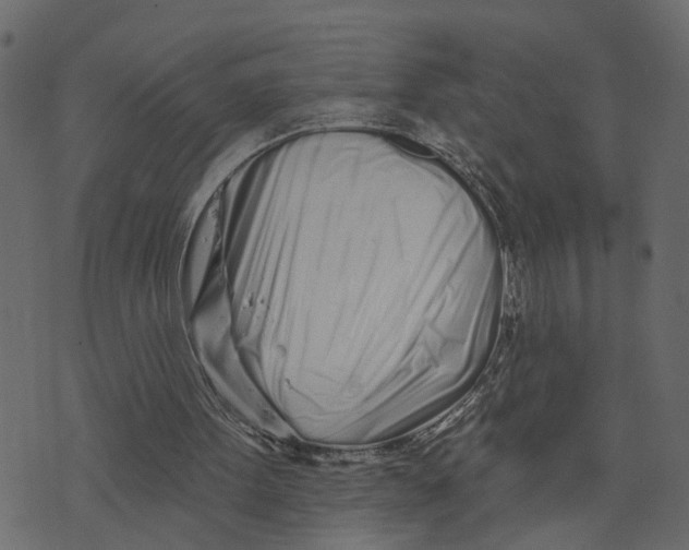 X0000073420099200608251600