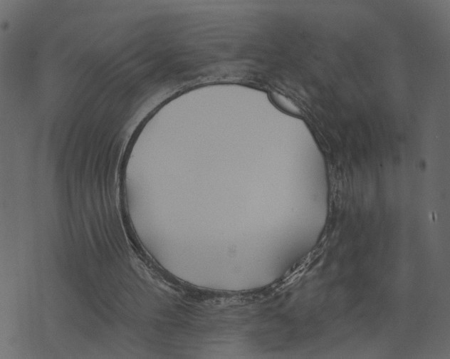 X0000073420100200608251600