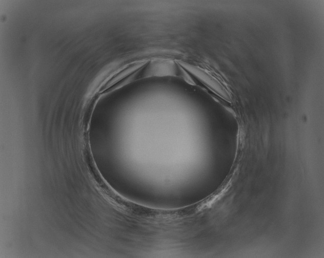 X0000073420101200608251600