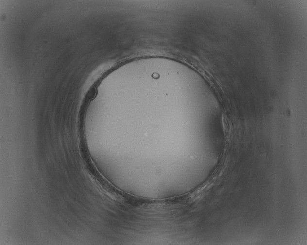 X0000073420104200608251600