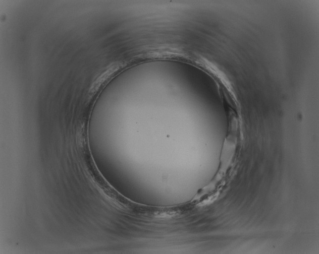 X0000073420105200608251600