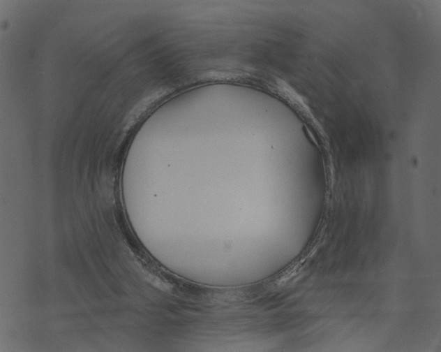 X0000073420106200608251600